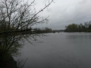 Willamette River sous la pluie