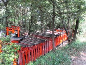 La montagne du sanctuaire Fushimi-inari est recouverte de galerie de torii alignés 